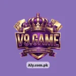V9 Game