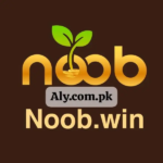 Noobwin Game