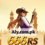 666rs Game