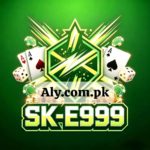 E999 Game